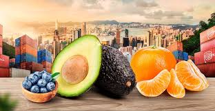 Descubre cómo una especialización en Comercio y Agroexportaciones transforma tu perfil profesional